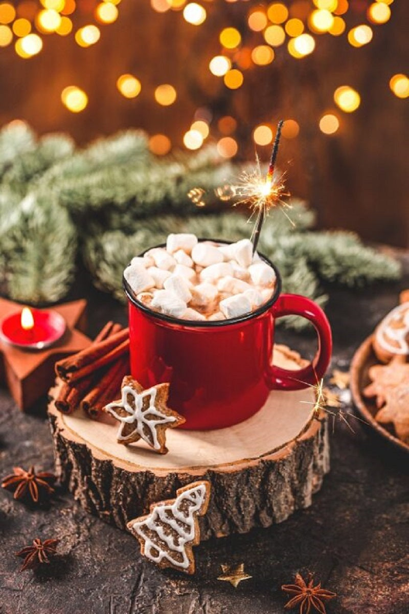 Chocolat chaud double truffe Père Noël 35g- Gourmet du village