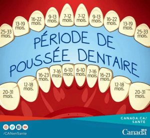 Sans titre1